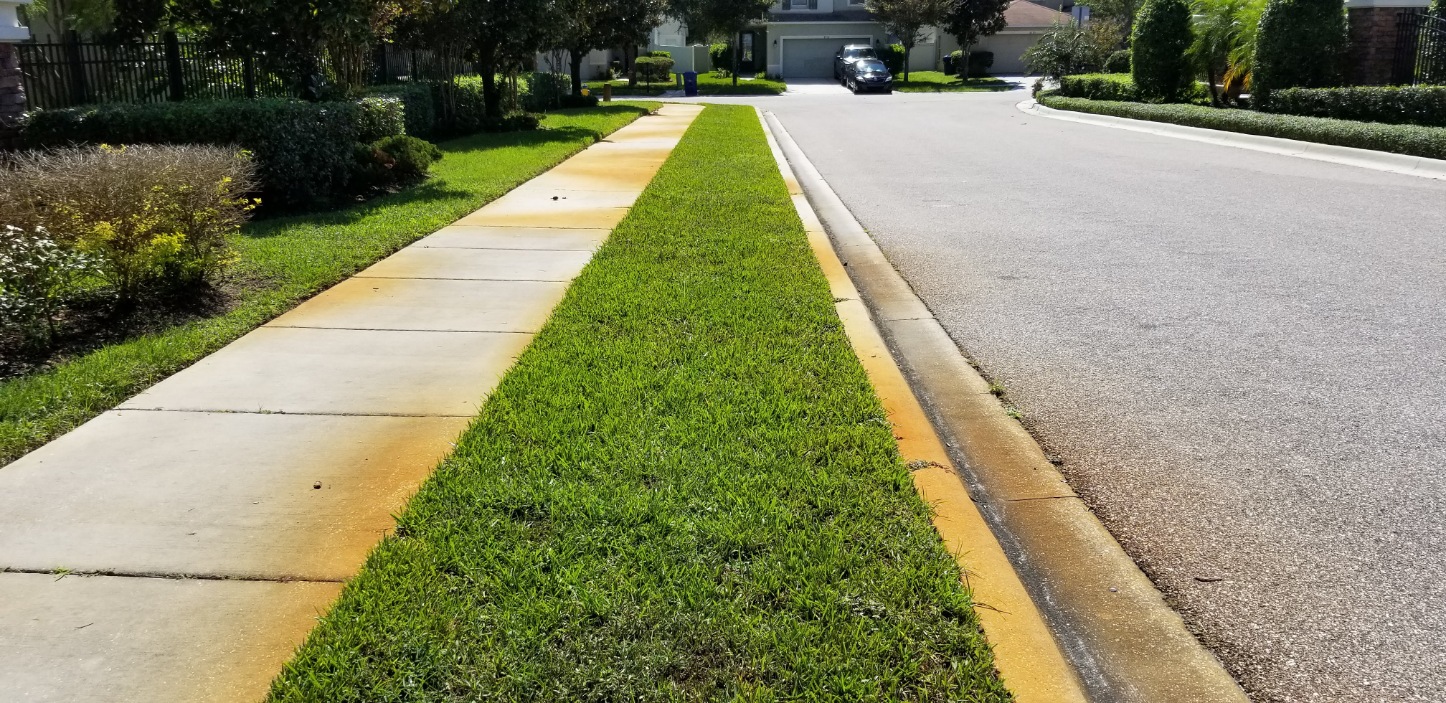 Before and after Rust Stain Removal